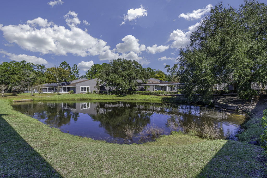 small lake in front of building